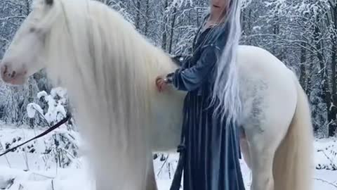 Magic horse and elf