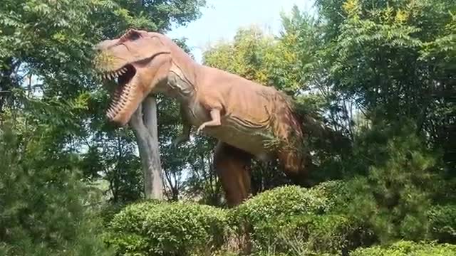 Dinosaur World Park, a fun day-18