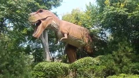 Dinosaur World Park, a fun day-18