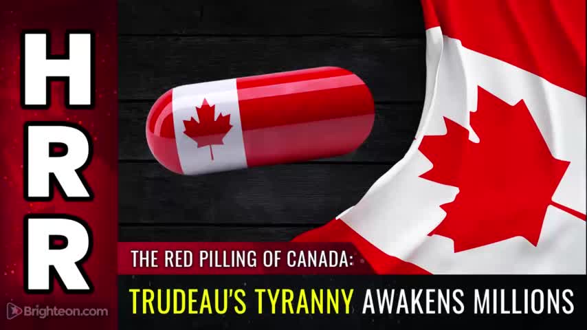 The RED PILLING of Canada: Trudeau's tyranny AWAKENS millions