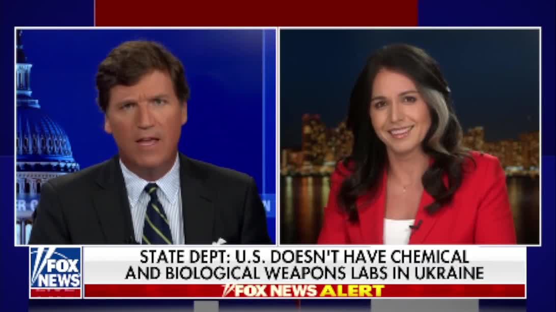 Tulsi Gabbard: Labs funded by US 'need to be shut down immediately'