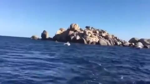 Road rage on the water. It was an "Ocean Commotion" 🚤💥😳