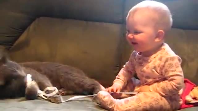 Kitten and baby playing together compilation (2022)