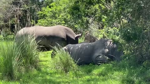 Track with Care in Uganda