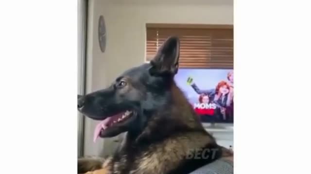 What is there?