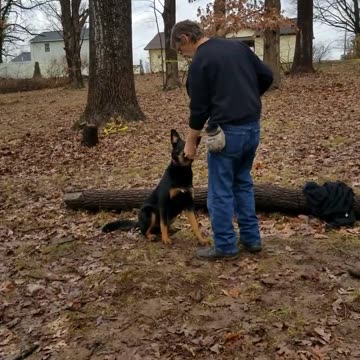 Engagement and Interaction to continue to teach and Reinforce Behaviors