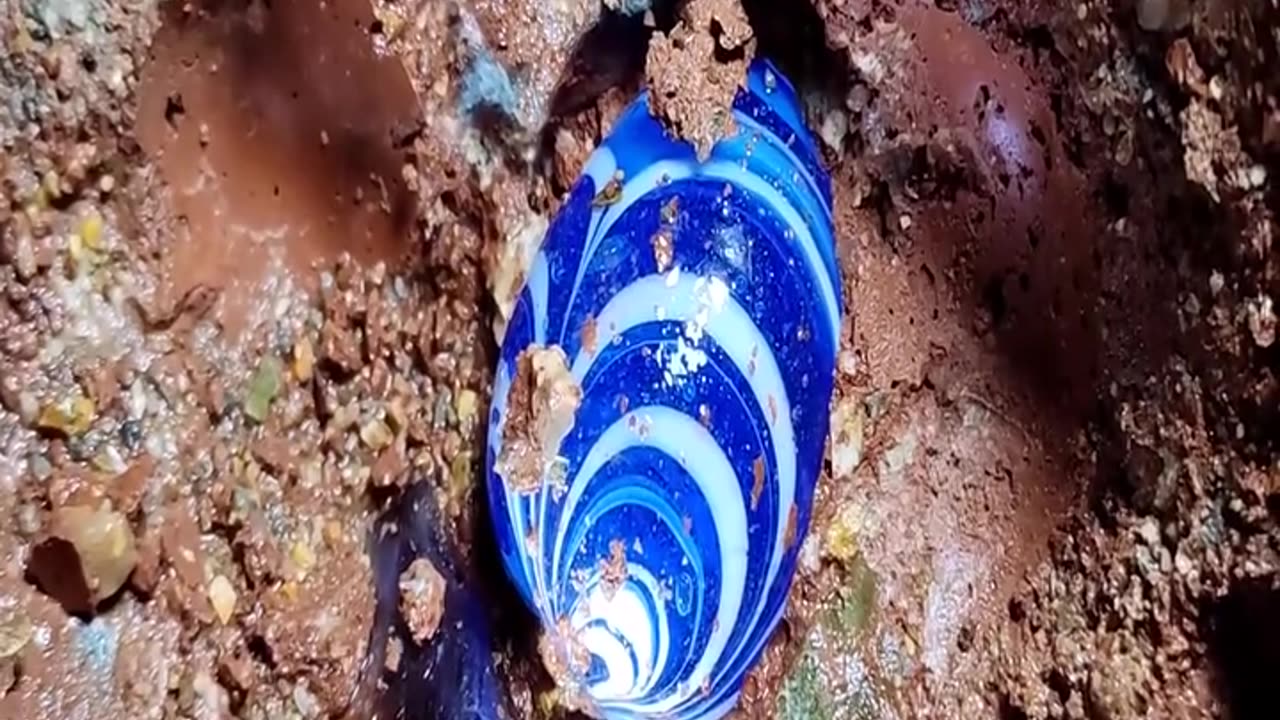 never thought about the sapphire growth lines and magic gold balls