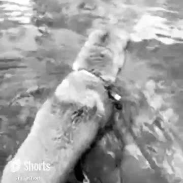 he discovers his foot