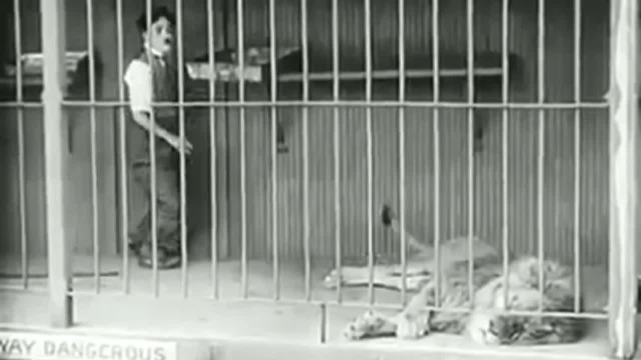 A Man (Charlie Chaplin) saves himself from Loin funny viedo