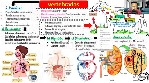 PAMER SEMESTRAL ESCOLAR 2022 | Semana 11 | Biología