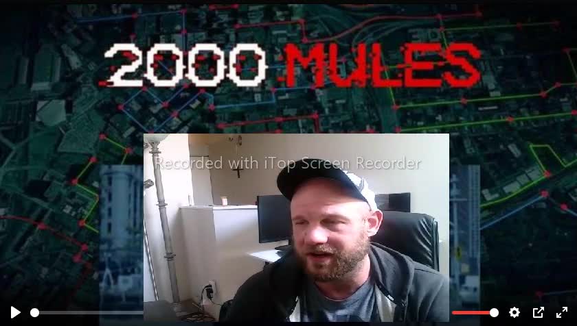 2000 Mules: Film Breakdown and Analysis