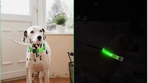 LED Glowing Dog Collar Adjustable 