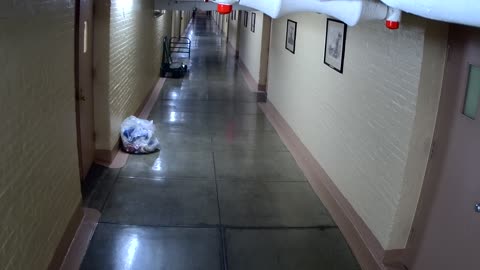 Camera0059USCHBAHT43Hallway_2021-01-06_Starting_at_03h40min00s957ms.mp4