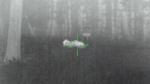 Two Hogs - One Kill