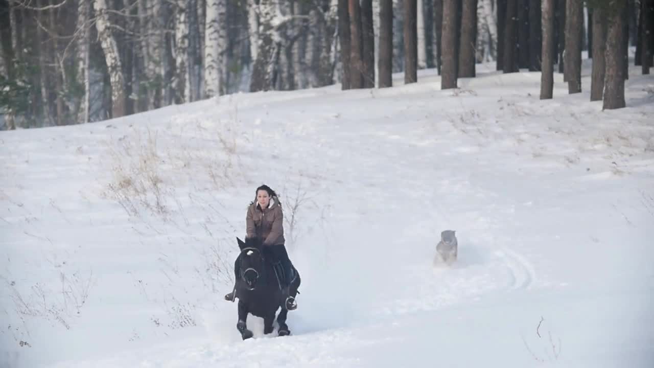 Longhaired female rider wild and fast riding black horse through the snow, dog running nearby