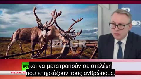 Το γρήγορο λιώσιμο του Αρκτικού παγετώνα ίσως αναβιώσει ΘΑΝΑΤΗΦΟΡΟΥΣ αρχαίους ιούς