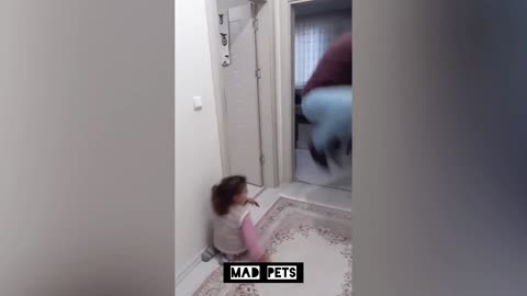 A cute girl prank on her dad - Funny family prank video
