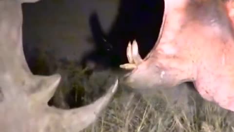 Share interesting videos 8