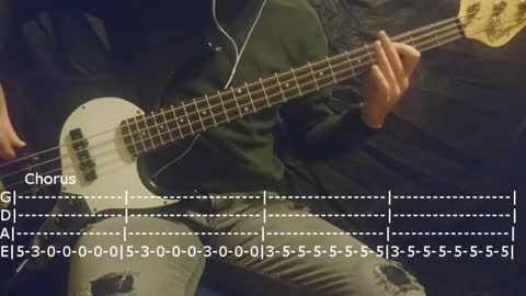 Rammstein - Du Hast Bass Cover (Tabs)