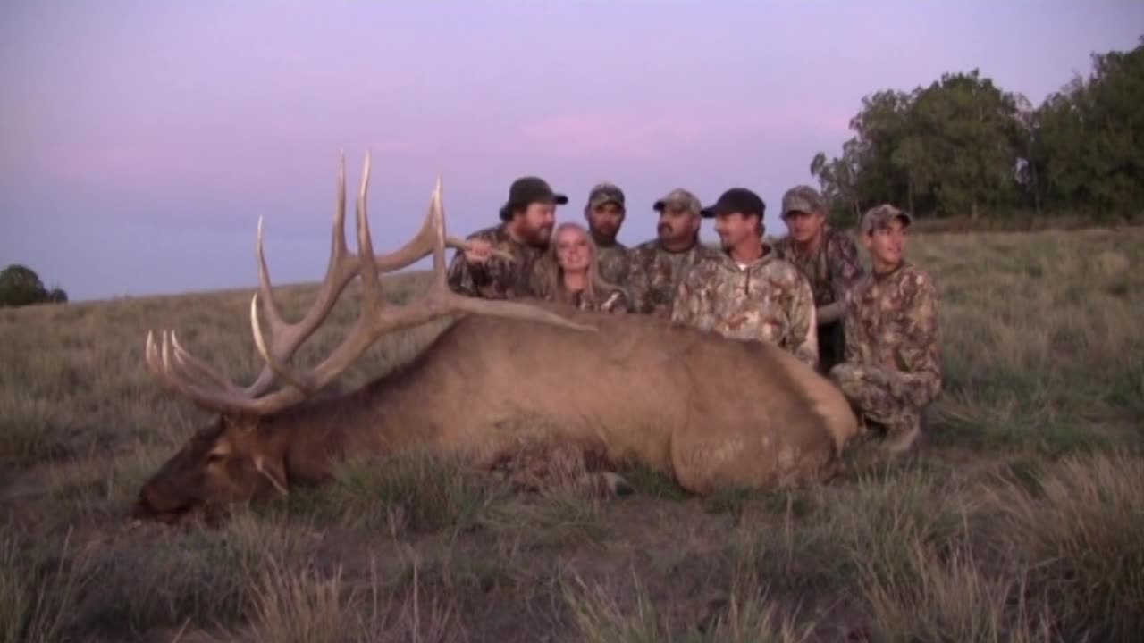 2011 Utah Record Bull