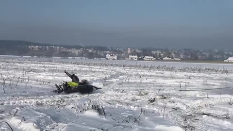 Playing in the snow is funny