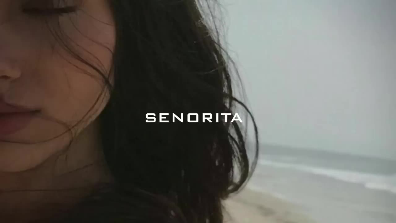 SENORITA (SLOWED REVERB)_2