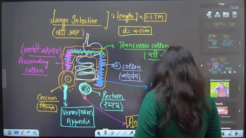 27 Digestive System 7 PYQ