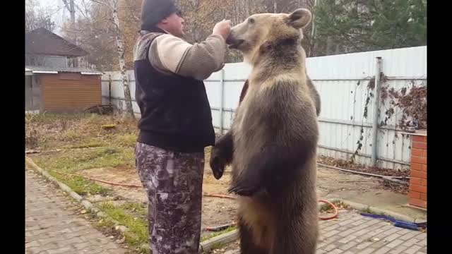 Bear Loves Berries