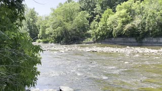 Humber River James Gardens Toronto