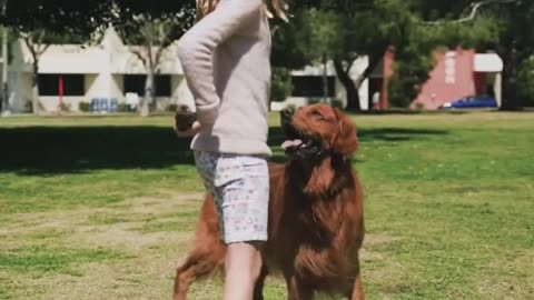 A girl play with beautiful dog 🥰