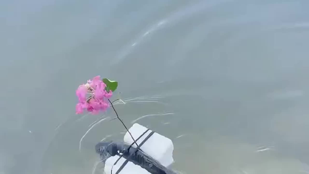 🤣😅