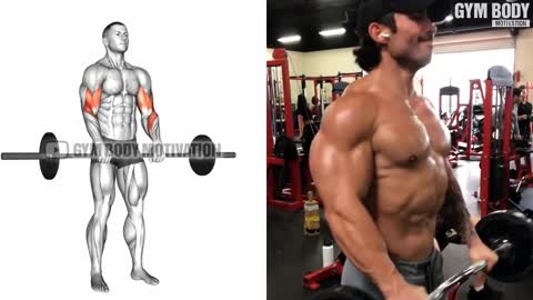 8 EXERCISE TO BUILT A BEAST LIKE BACK