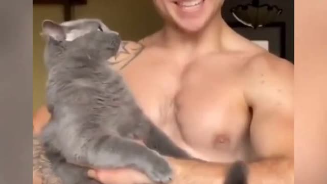 Funny Cat And Dog Funny Animals Funny Fails TikTok Shorts