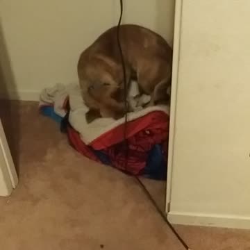 Getting ready for bed