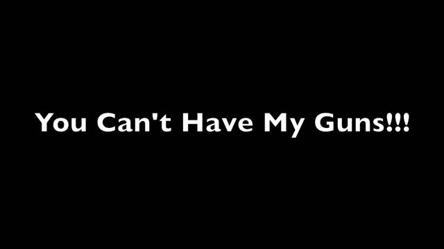 Gun Confiscation