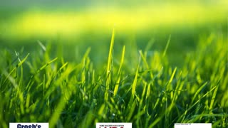 Commercial Lawn Mowing Service Williamsport MD