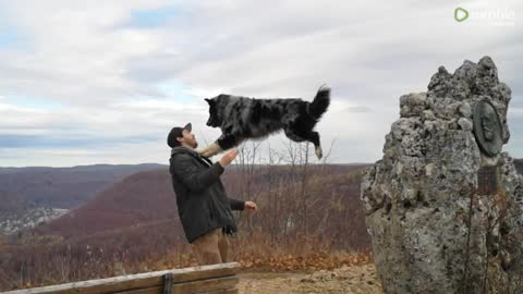 Epic slow motion footage of dog jumping into owner's arms