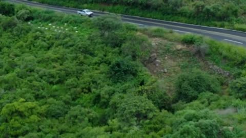 Curvy road on a tree covered hill