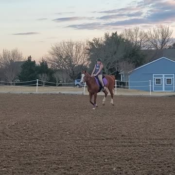 Arena jumps on Dixie