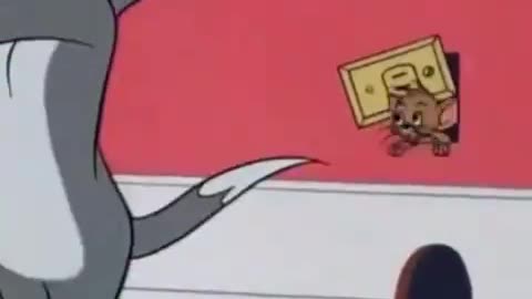 Tom & Jerry Clip