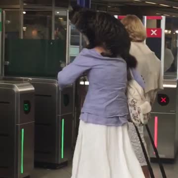 Old woman blue shirt giant cat on her shoulder