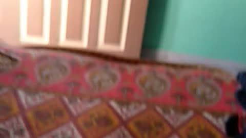 My room vary nice
