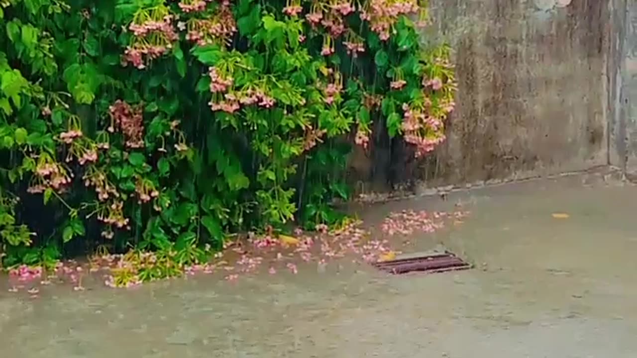 Weather of lahore