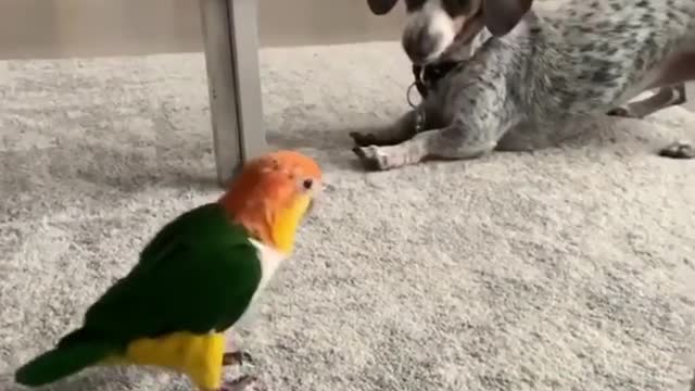 There is nothing more beautiful than a friendship