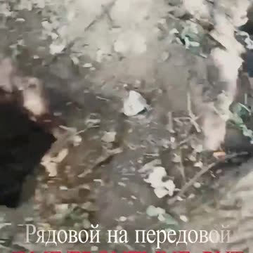 Russian soldiers checking a destroyed Ukrainian forrest position in the Kursk borderland