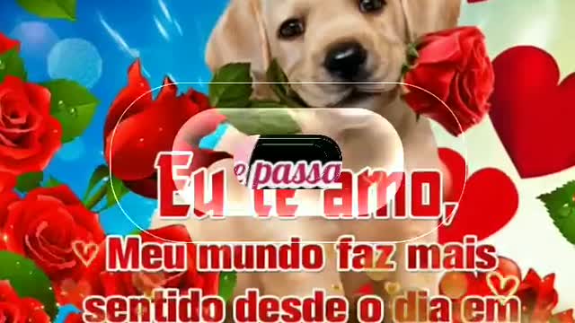 Você é Especial 💞