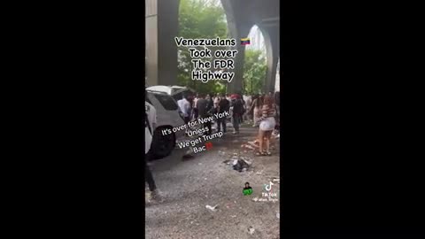 Venezuela Gangs and FDR Bridge ..