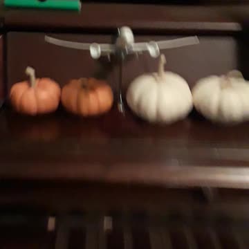 PUMPKIN ARMY!!!!!!!!!!Part 1