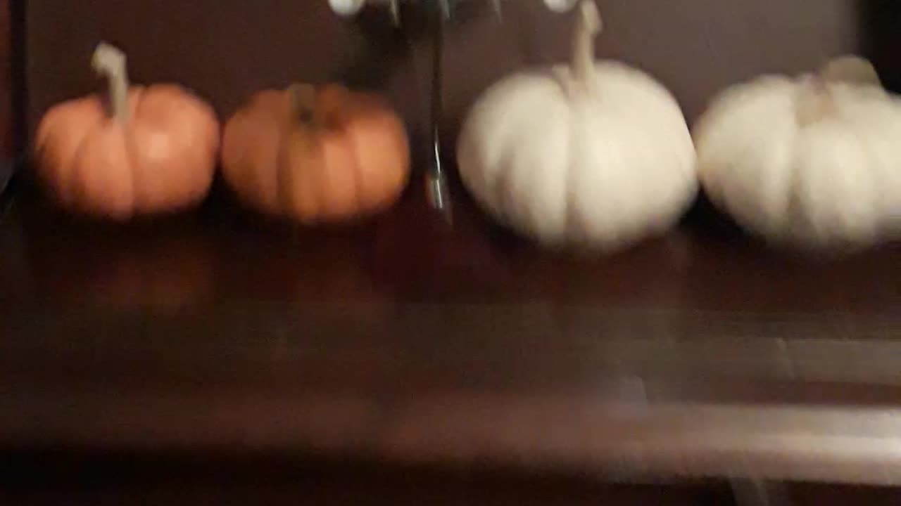 PUMPKIN ARMY!!!!!!!!!!Part 1