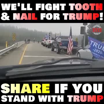 We'll fight TOOTH and NAIL for TRUMP! #StopTheSteal